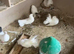 Fantails