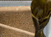 Siskins
