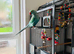 Stunning Female Indian Ringneck &ndash; Ready for a New Home