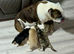KC Registered English Bulldog Puppies Looking for Loving Homes
