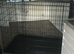 Xxxl crate