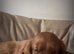 Working cocker spaniel in need of a loving home