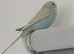 Baby budgies