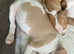 American bulldog *ready to go*