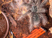 2 Theraphosa
