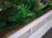 Fish tank