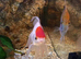 Fantail goldfish