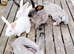 Lovely New Zealand cross kits Dwarf