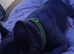 Female frenchie