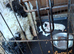 Jackapoo puppies for sale