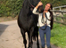 Big and beautiful - Winter Warmblood project