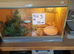 Corn snakes and vivs  for sale