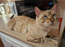 READY 31ST BENGAL X SELKIRK REX BOYS