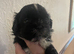 Lhasa apso cross shihtzu puppies
