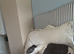 Reluctant rehoming whippet x Italian greyhound