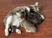 3 Adorable and Playful Kittens
