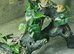 4 Baby Bearded Dragons