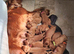 Stunning puppies for sale