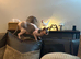 Sphinx