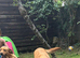 Labrador’s
