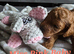Cavapoo pups fb1