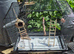 Large bird cage