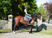 Ideal mother/daughter share, all rounder