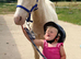 Welsh a cremello mare.