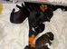 Springador mix pups ready 16/12/2026