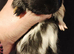Beautiful singe baby boy needs a friend