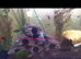 Pleco caves slate