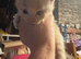 Mainecoon cross kittens