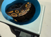 Royal pythons for sale