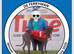 Greyhound bitch for sale