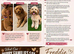 3 x Toy F2 Cockapoo puppies left!