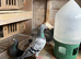Racing pigeons for sale