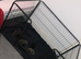 Belgian Malinois puppies due very soon!