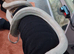 Adult corn snake