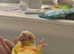 Tamed Baby Conure
