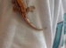 3 baby crested geckos