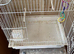 Free birdcages