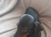 2 dachshund
