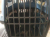 Pet carrier
