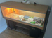 Tortoise and viv
