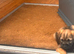 Border terrier
