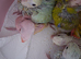 Hand reared indian ringneck