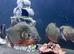 5x red belly piranha