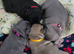️Stunning French Bulldog Puppies in Slough — New and Classic Colours️