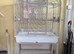 Hand tame baby pied budgie and cage