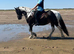 14.1 skewed mare 14 years old